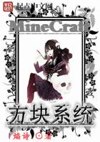 Minecraft方塊系統